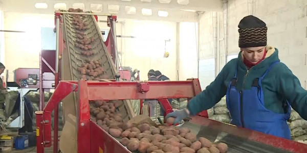 Казахстанские фермеры сильно зависят от иностранных поставок сырья