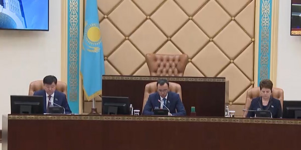 Привлекать депутатов к деятельности по принятию законов призвал спикер сената