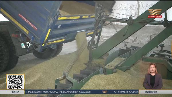 Биыл ауыл шаруашылығы саласына көрсетілетін қолдау едәуір артады