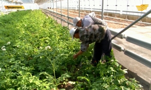 &laquo;Продвопрос&raquo;. Агроитоги: что было и что будет