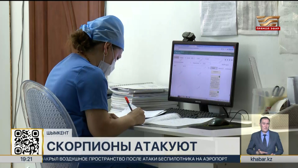 В Шымкенте активизировались скорпионы