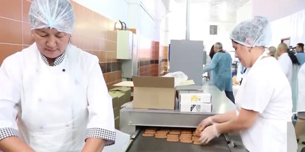 Казахстанские предприниматели получили 224 млрд тенге от государства