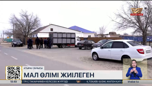 Атырау облысында мал өлімі жиіледі