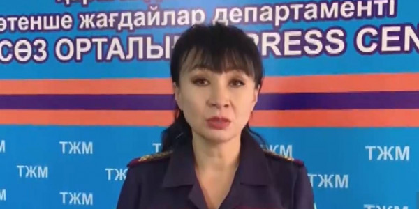 Огонь охватил 150 гектаров в горном массиве Талдинского сельского округа