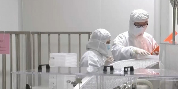 Вакцинаның көмегімен адамзат қандай ауруларды жеңіп шықты?