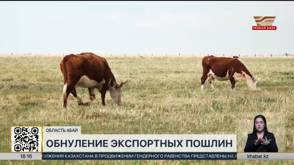 Количество пунктов по приёму шкур и шерсти увеличат в области Абай