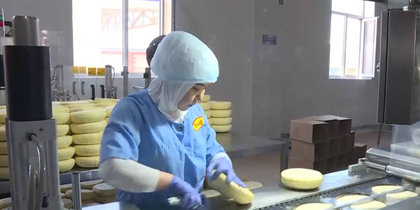 20 млрд тенге направят на развитие предпринимательства в Туркестанской области