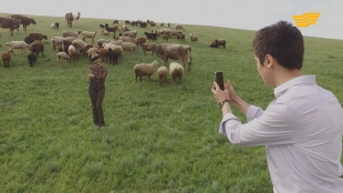 &laquo;Тағдыр тартысы&raquo;. Үйлену оңай. 1-бөлім