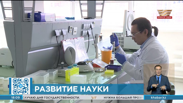 Закон  &laquo;О науке и технологической политике&raquo; одобрили в Сенате