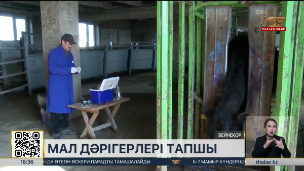 Елде мал дәрігерлері тапшы