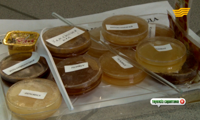 &laquo;Ас арқау&raquo;. Бал таңдау. Отандық құс өсірушілер. Қызылордалық кооператив өнімін экспорттауды жоспарлауда