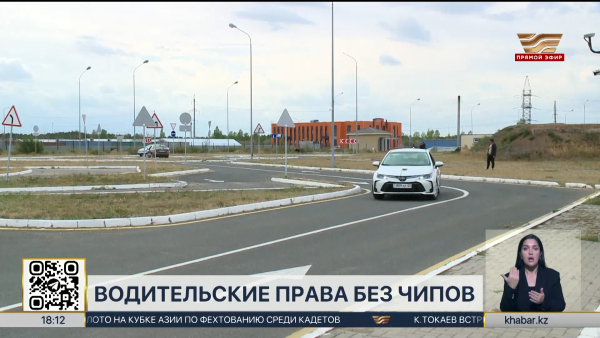Чипы из водительских прав и техпаспортов могут убрать в РК