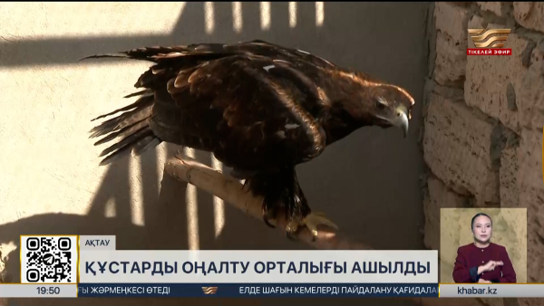 Ақтауда құстарды оңалту орталығы ашылды