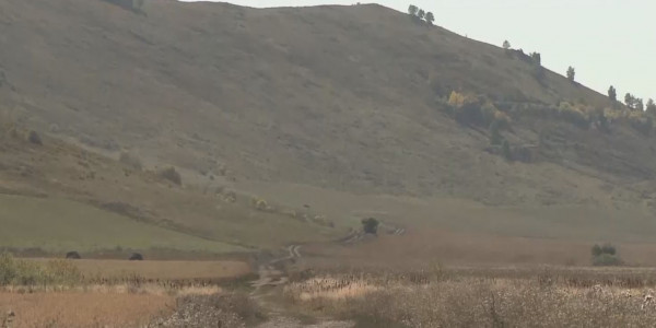 ШҚО-да жайылымдық жердің 1 млн 800 мың гектары мақсатсыз пайдаланылған