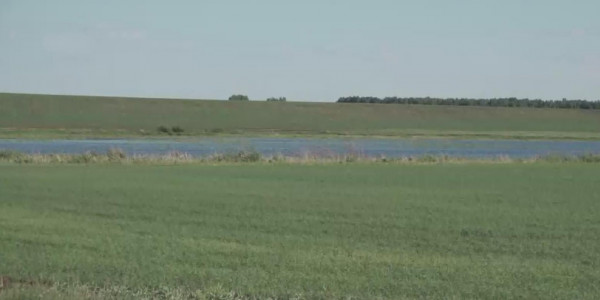 СҚО-да 300-ге жуық тұрғын жер үлестерінен айырылып қалды