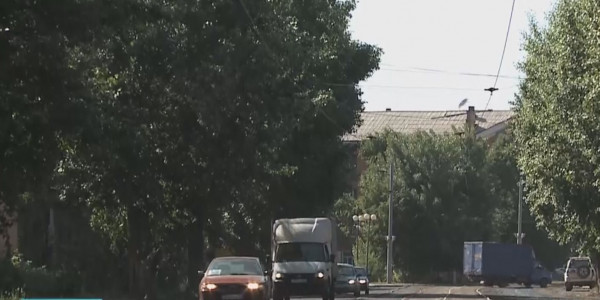 Өскемендіктер көшедегі ағаштардың оталуына наразы