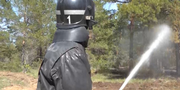 Последствия пожара в Абайской области показали из космоса