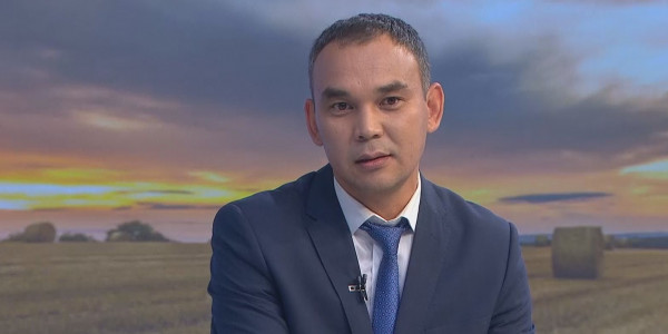 Ет бағасы өсе ме &ndash; маман пікірі