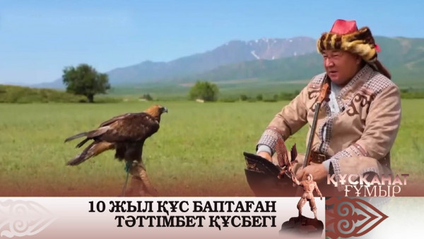 Қыран тілін білген Тәттімбет. &laquo;Құсқанат ғұмыр&raquo;