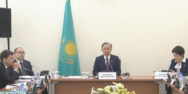 Бейбіт жиындар туралы заң жобасы Мәжілісте талқыланды