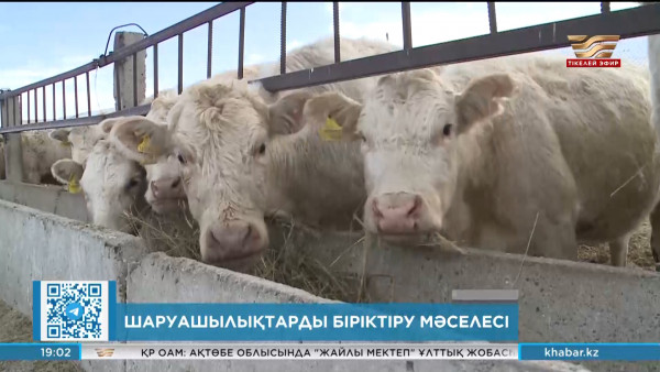 Аграрлық саладағы шаруа қожалықтарын ірілендіруге не кедергі?