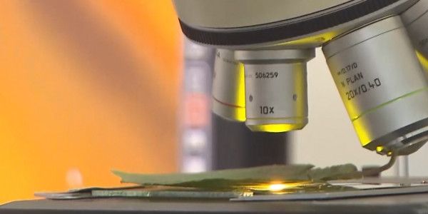 В Казахстане появилась ещё одна вакцина против COVID-19