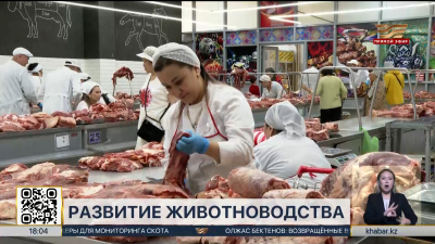 Цены на мясо: почему дорожает говядина в Казахстане?