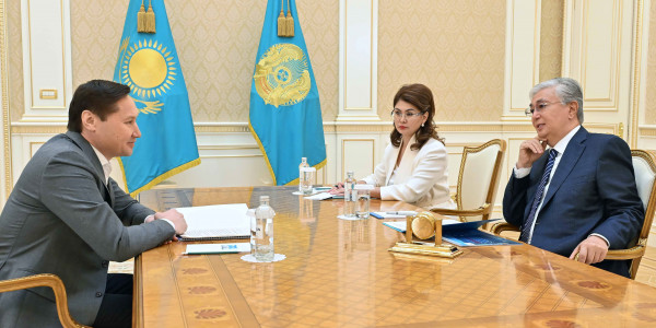Глава государства принял председателя АО &laquo;Казахфильм&raquo;