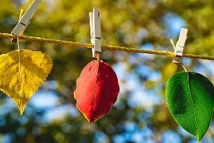 Ел аумағында құбылмалы ауа райы сақталады