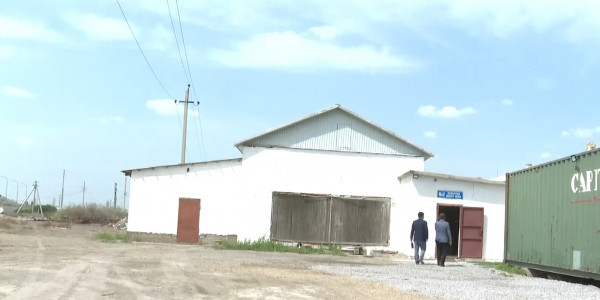 Қызылорда облысындағы жалғыз құс фермасы жабылып қалуы мүмкін