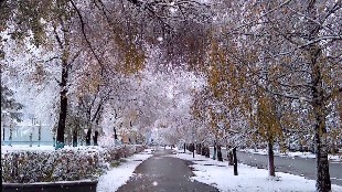 Алдағы тәулік жылы болады деп күтілуде