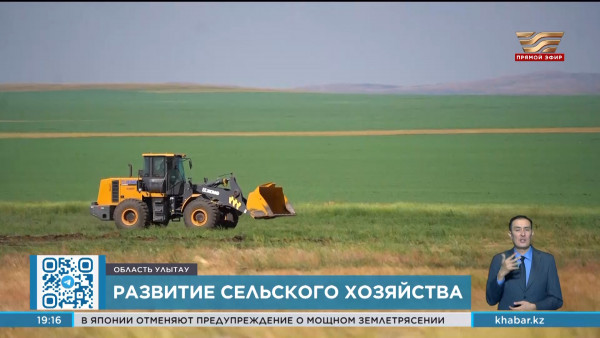 4 миллиарда тенге выделили на субсидирование сельхозпроектов в области Улытау
