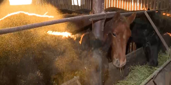 260 жителей Жетысу начали свой бизнес по программе &laquo;Ауыл аманаты&raquo;