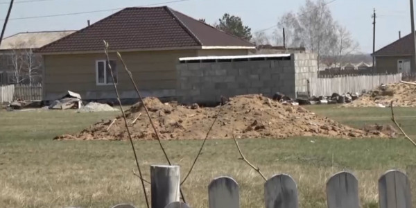 Кандасы с трудом пережили зиму в СКО