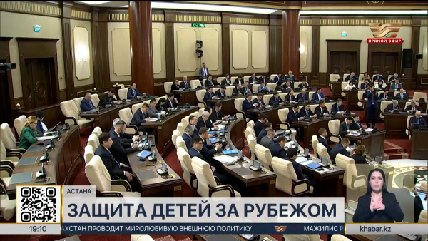 Мажилис ратифицировал протоколы к Кишинёвской конвенции по защите прав детей