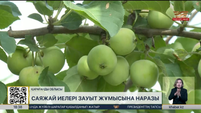 Қарағандылықтар асфальт-бетон зауытының жабылуын талап етеді