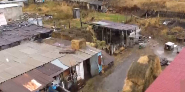 Ветеринарные инспекторы ищут источник сибирской язвы в Карагандинской области