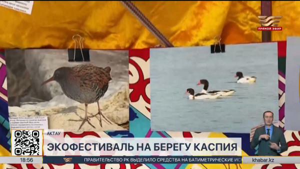 Экофестиваль &laquo;Summer Ecovibe Fest&raquo; прошел в Актау