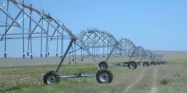 Активными темпами развивается сельское хозяйство в Кобдинском районе Актюбинской области