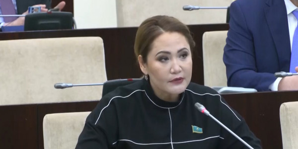 Сенатор обеспокоена большим оттоком населения приграничных регионов