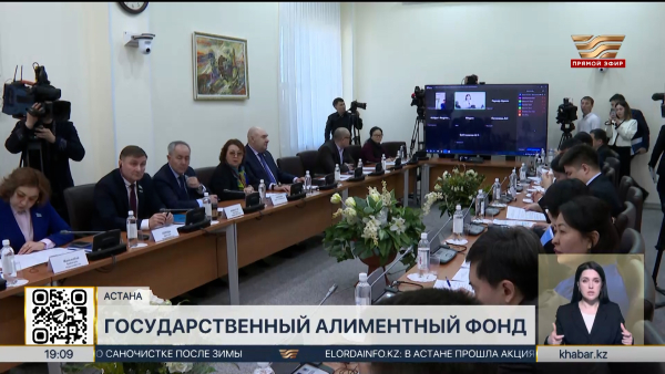 Государственный алиментный фонд могут создать в РК
