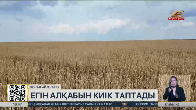 Қостанай облысында 30 мың гектардан астам егін алқабын киік таптады