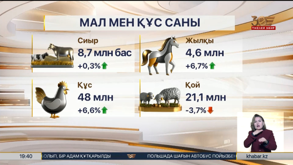 Жолдау: ет өндірісі 2% өсті
