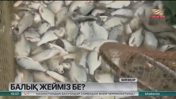 Мұздатылған балықты шетелге сату шектеледі