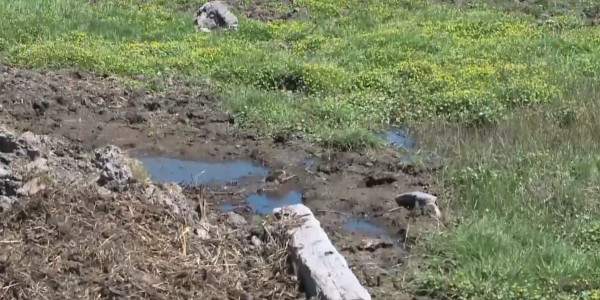 Ұранқай ауылы жол мен жерге жарымай отыр