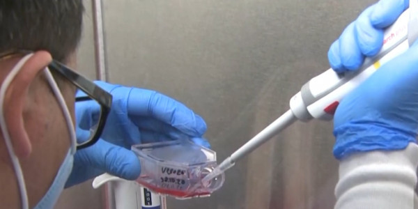 Эксперт о массовой вакцинации: Польза перевешивает риски