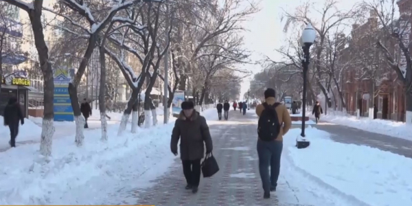 Алимент төлемеген 39 адам қамауға алынды