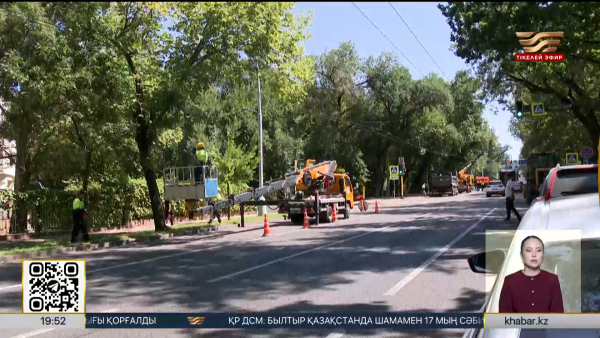 Алматыда жыл басынан бері 74 мың ағаш санитарлық мақсатта кесілді
