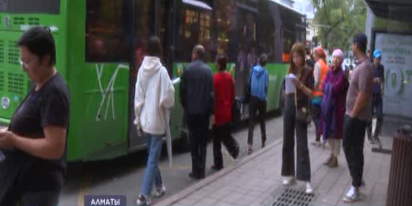 Алматыда аялдамада тұрған 7 адамды көлік қағып кетті