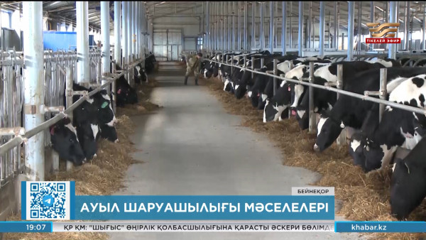 Үкімет ауыл шаруашылығын субсидиялауға 30 млрд теңге бөлді